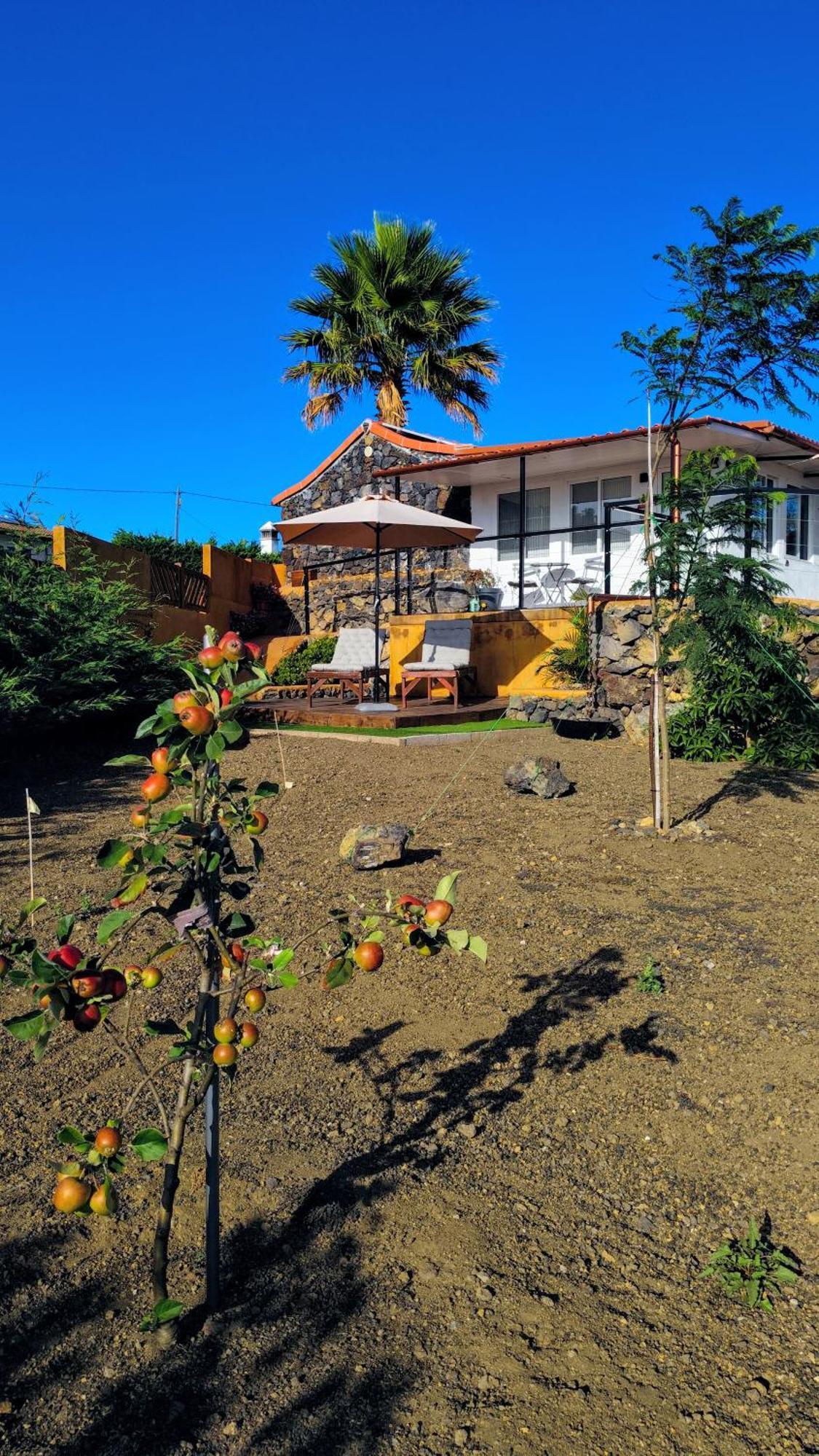 El Sueno: Un Lugar Especial Para Sus Vacaciones Fuencaliente de la Palma Ngoại thất bức ảnh